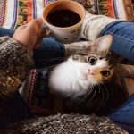 Mi Hogar lejos de Casa